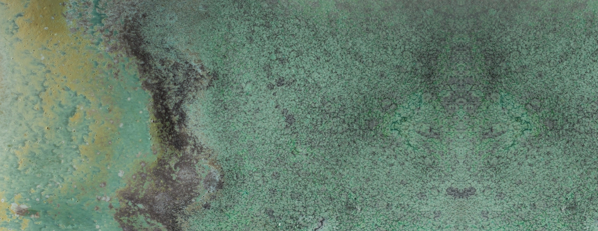 Clay Surfaces: Decorating with Slip